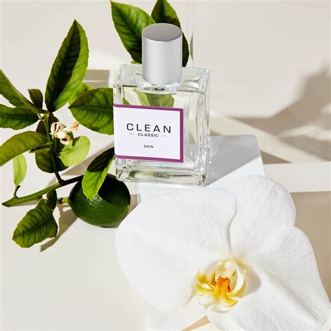 clean classic skin